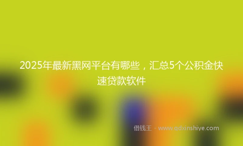 2025年最新黑网平台有哪些，汇总5个公积金快速贷款软件