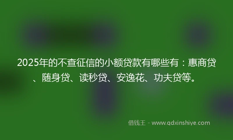 2025年的不查征信的小额贷款有哪些有：惠商贷、随身贷、读秒贷、安逸花、功夫贷等。