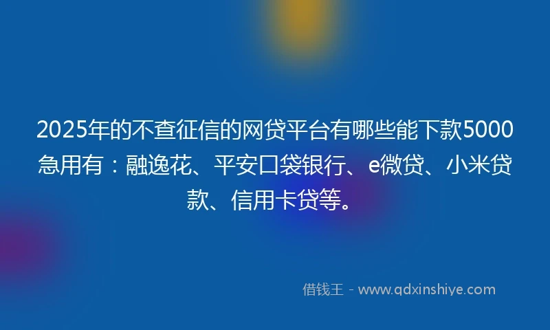 2025年的不查征信的网贷平台有哪些能下款5000急用有：融逸花、平安口袋银行、e微贷、小米贷款、信用卡贷等。