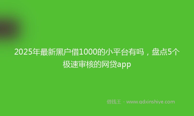 2025年最新黑户借1000的小平台有吗，盘点5个极速审核的网贷app