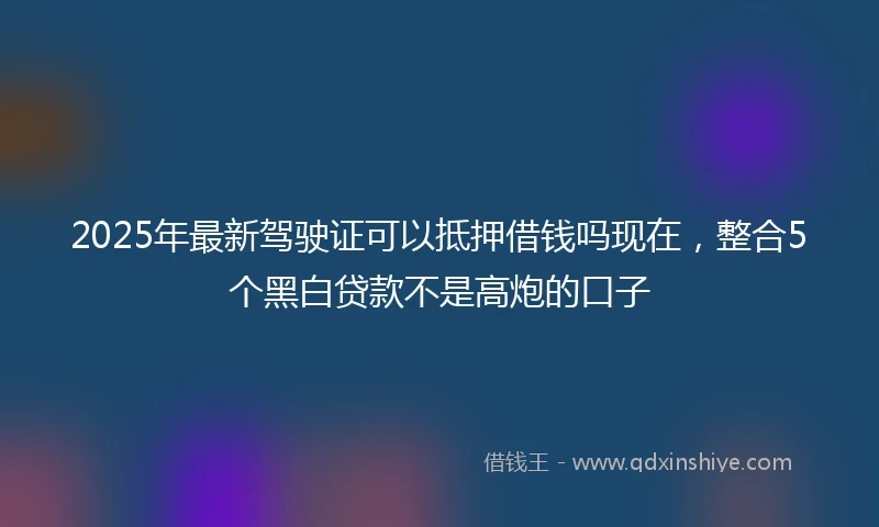 2025年最新驾驶证可以抵押借钱吗现在，整合5个黑白贷款不是高炮的口子