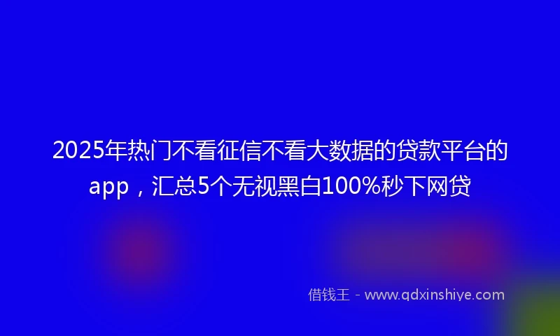 2025年热门不看征信不看大数据的贷款平台的app,汇总5个无视黑白100%秒下网贷