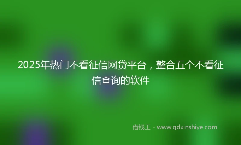 2025年热门不看征信网贷平台，整合五个不看征信查询的软件