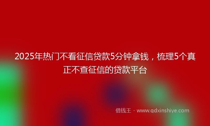 2025年热门不看征信贷款5分钟拿钱,梳理5个真正不查征信的贷款平台