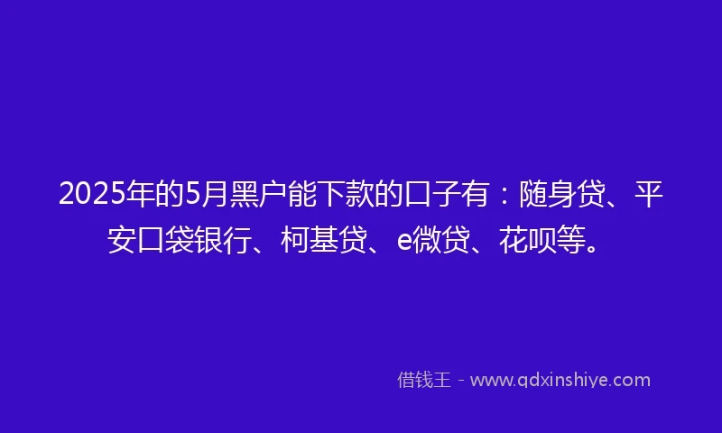 2025年的5月黑户能下款的口子有：随身贷、平安口袋银行、柯基贷、e微贷、花呗等。