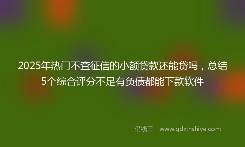 2025年热门不查征信的小额贷款还能贷吗,总结5个综合评分不足有负债都能下款软件