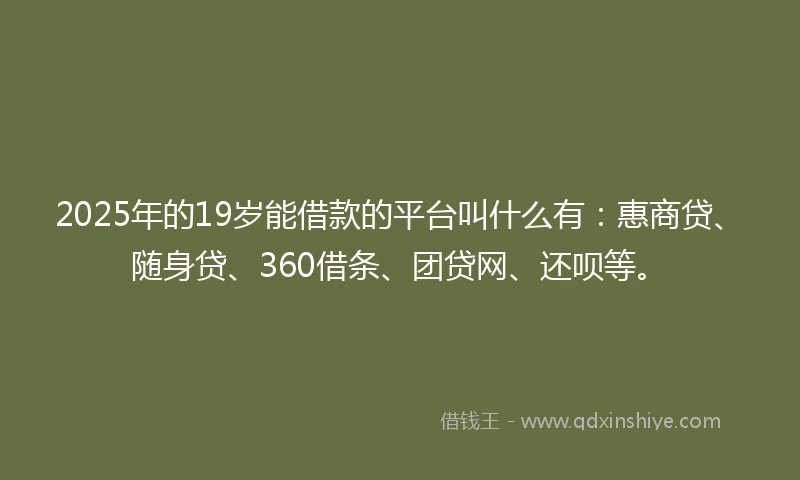 2025年的19岁能借款的平台叫什么有：惠商贷、随身贷、360借条、团贷网、还呗等。