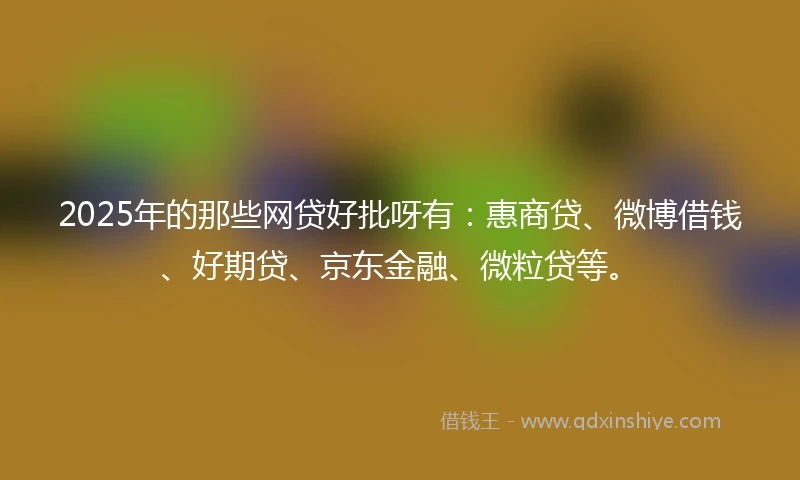 2025年的那些网贷好批呀有：惠商贷、微博借钱、好期贷、京东金融、微粒贷等。