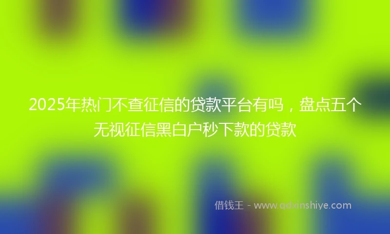 2025年热门不查征信的贷款平台有吗，盘点五个无视征信黑白户秒下款的贷款