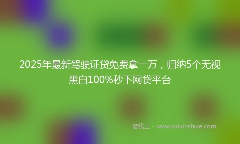 2025年最新驾驶证贷免费拿一万，归纳5个无视黑白100%秒下网贷平台