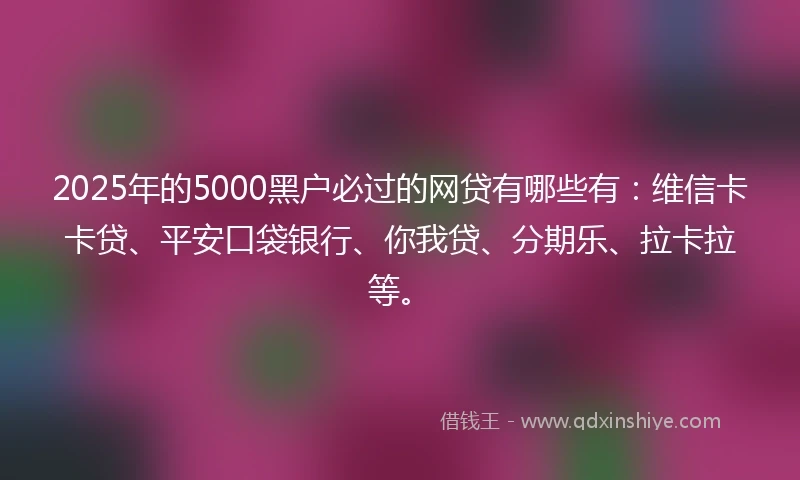 2025年的5000黑户必过的网贷有哪些有：维信卡卡贷、平安口袋银行、你我贷、分期乐、拉卡拉等。