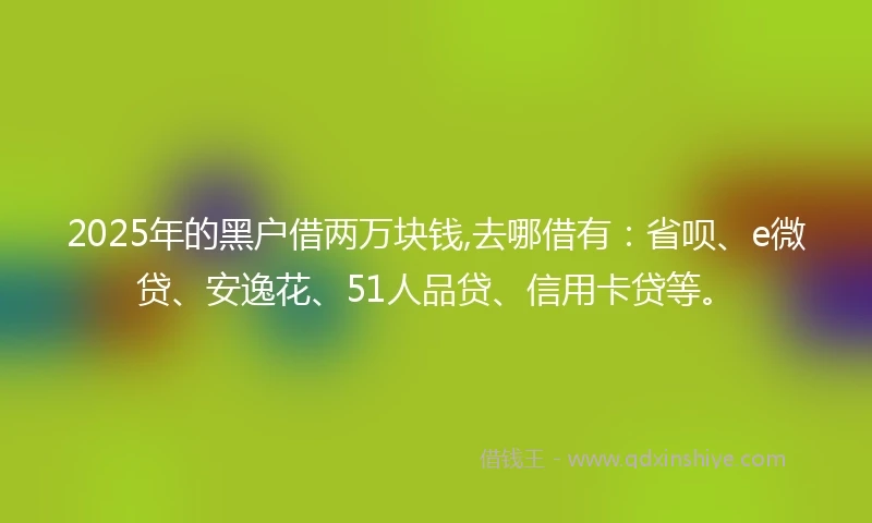2025年的黑户借两万块钱,去哪借有：省呗、e微贷、安逸花、51人品贷、信用卡贷等。