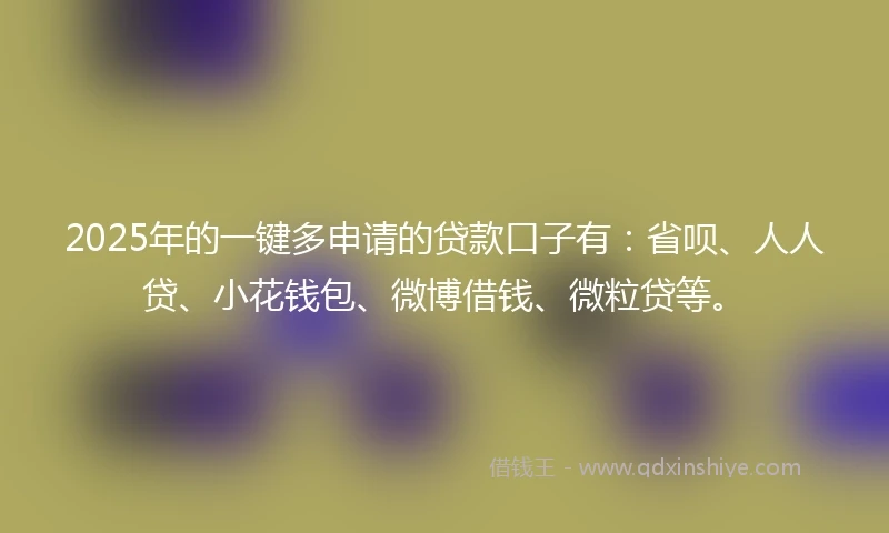 2025年的一键多申请的贷款口子有：省呗、人人贷、小花钱包、微博借钱、微粒贷等。