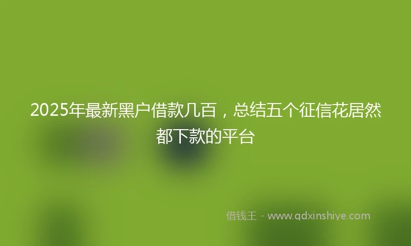 2025年最新黑户借款几百，总结五个征信花居然都下款的平台