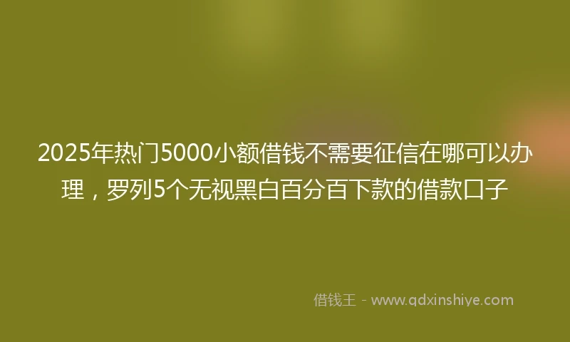2025年热门5000小额借钱不需要征信在哪可以办理，罗列5个无视黑白百分百下款的借款口子
