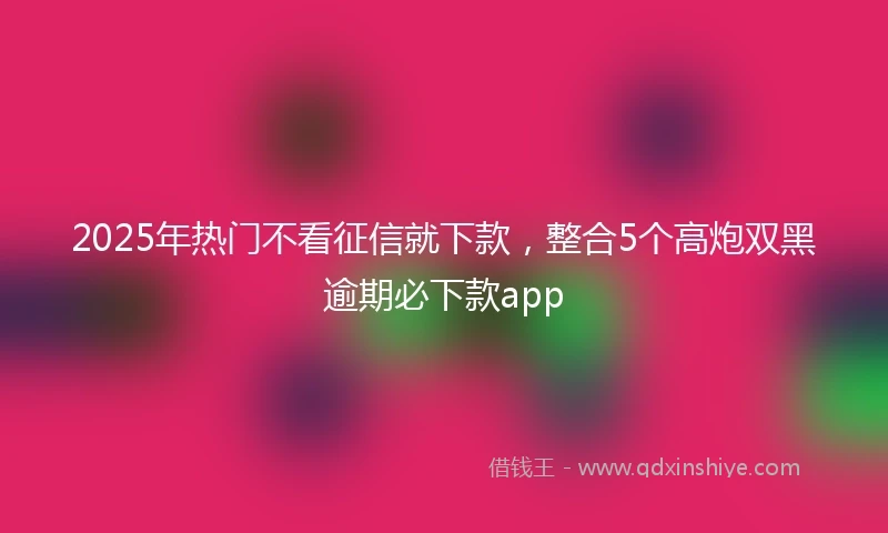 2025年热门不看征信就下款，整合5个高炮双黑逾期必下款app