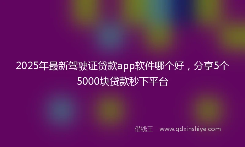 2025年最新驾驶证贷款app软件哪个好，分享5个5000块贷款秒下平台