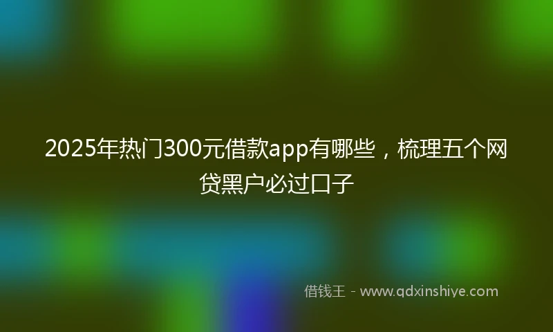 2025年热门300元借款app有哪些，梳理五个网贷黑户必过口子