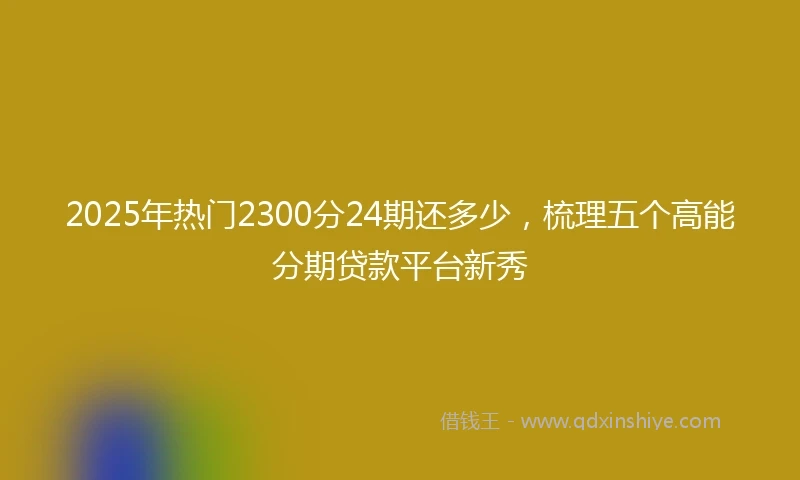 2025年热门2300分24期还多少，梳理五个高能分期贷款平台新秀