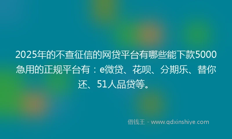 2025年的不查征信的网贷平台有哪些能下款5000急用的正规平台有：e微贷、花呗、分期乐、替你还、51人品贷等。