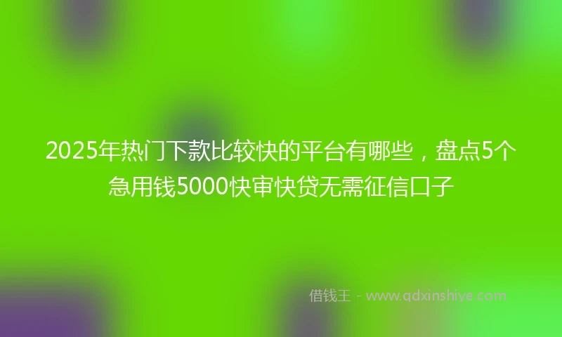 2025年热门下款比较快的平台有哪些，盘点5个急用钱5000快审快贷无需征信口子