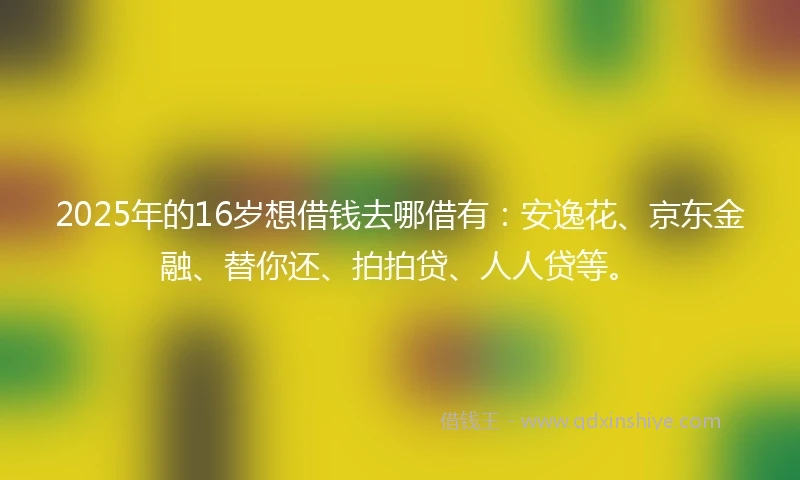 2025年的16岁想借钱去哪借有：安逸花、京东金融、替你还、拍拍贷、人人贷等。