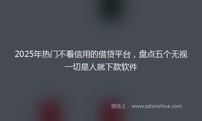 2025年热门不看信用的借贷平台，盘点五个无视一切是人就下款软件