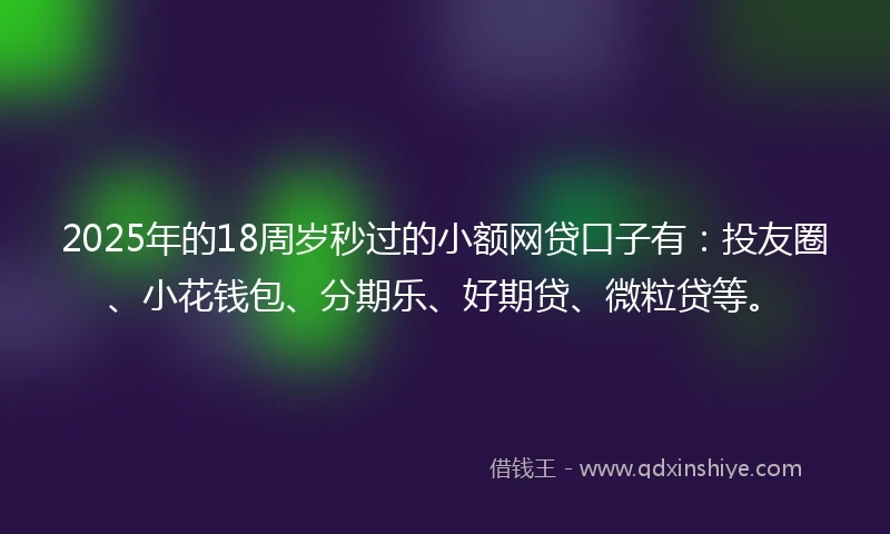 2025年的18周岁秒过的小额网贷口子有：投友圈、小花钱包、分期乐、好期贷、微粒贷等。