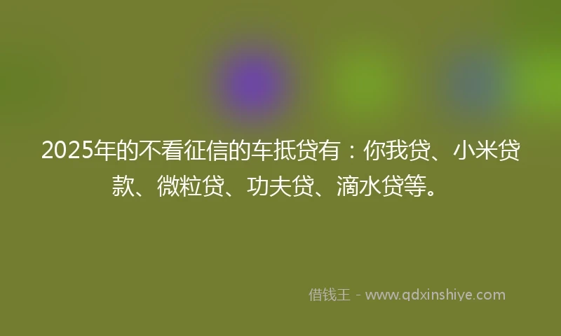 2025年的不看征信的车抵贷有：你我贷、小米贷款、微粒贷、功夫贷、滴水贷等。