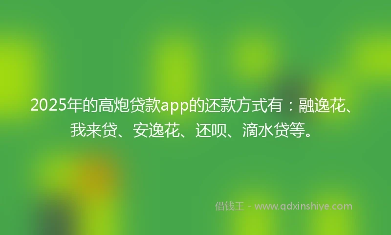 2025年的高炮贷款app的还款方式有：融逸花、我来贷、安逸花、还呗、滴水贷等。
