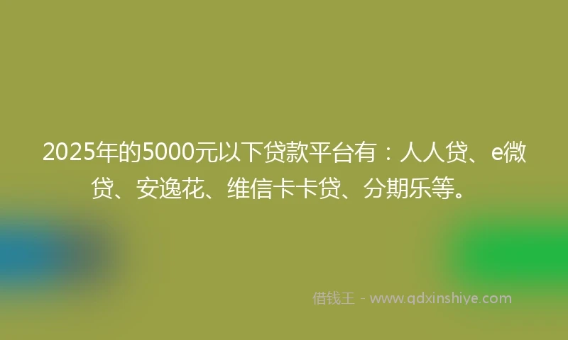 2025年的5000元以下贷款平台有：人人贷、e微贷、安逸花、维信卡卡贷、分期乐等。