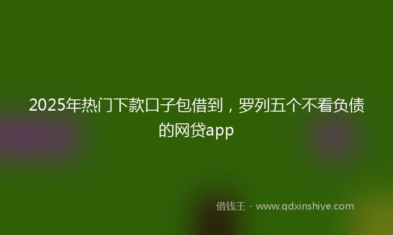 2025年热门下款口子包借到，罗列五个不看负债的网贷app