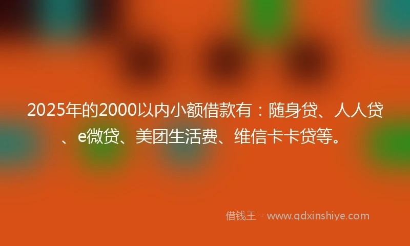 2025年的2000以内小额借款有：随身贷、人人贷、e微贷、美团生活费、维信卡卡贷等。