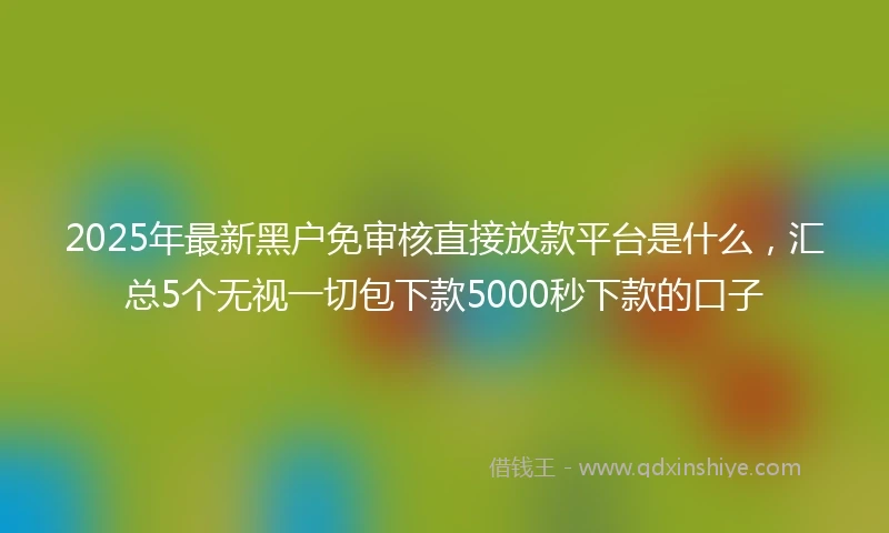 2025年最新黑户免审核直接放款平台是什么,汇总5个无视一切包下款5000秒下款的口子