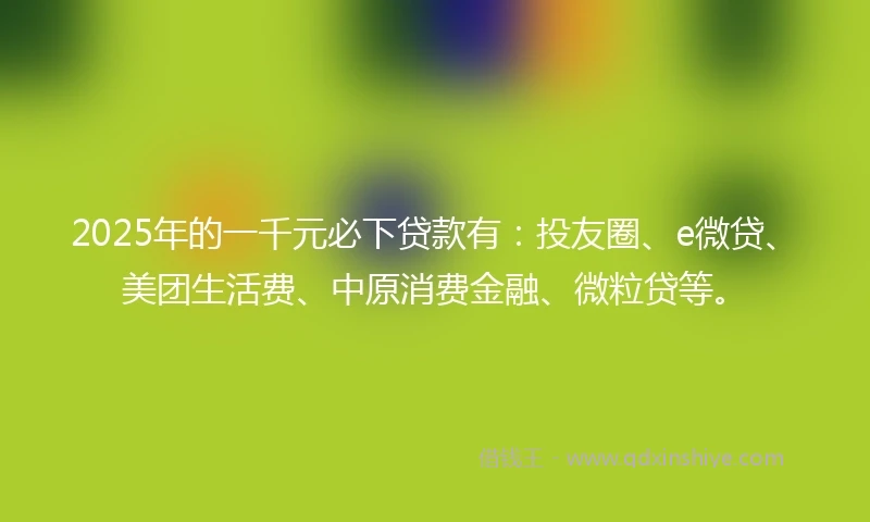 2025年的一千元必下贷款有：投友圈、e微贷、美团生活费、中原消费金融、微粒贷等。