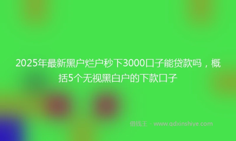 2025年最新黑户烂户秒下3000口子能贷款吗,概括5个无视黑白户的下款口子