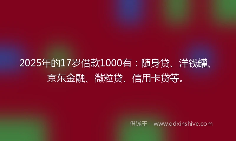 2025年的17岁借款1000有：随身贷、洋钱罐、京东金融、微粒贷、信用卡贷等。