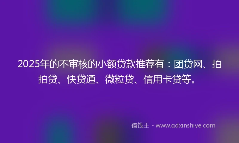 2025年的不审核的小额贷款推荐有：团贷网、拍拍贷、快贷通、微粒贷、信用卡贷等。