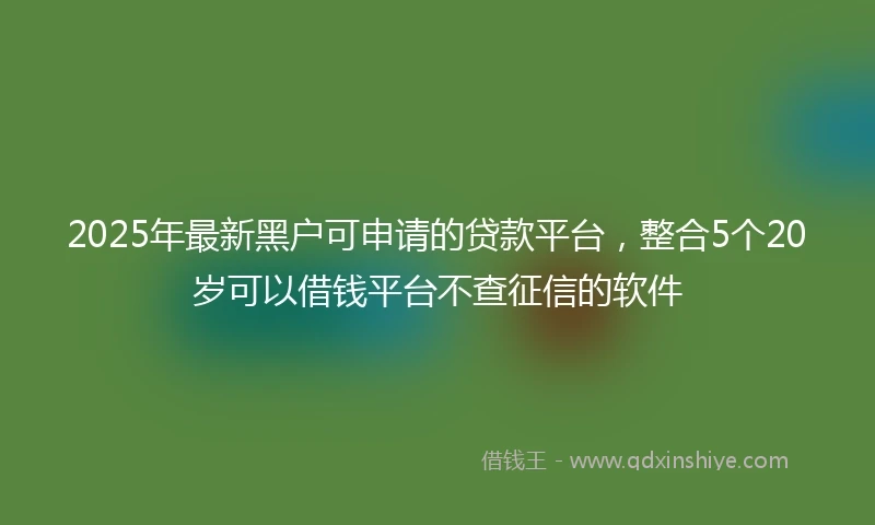 2025年最新黑户可申请的贷款平台，整合5个20岁可以借钱平台不查征信的软件