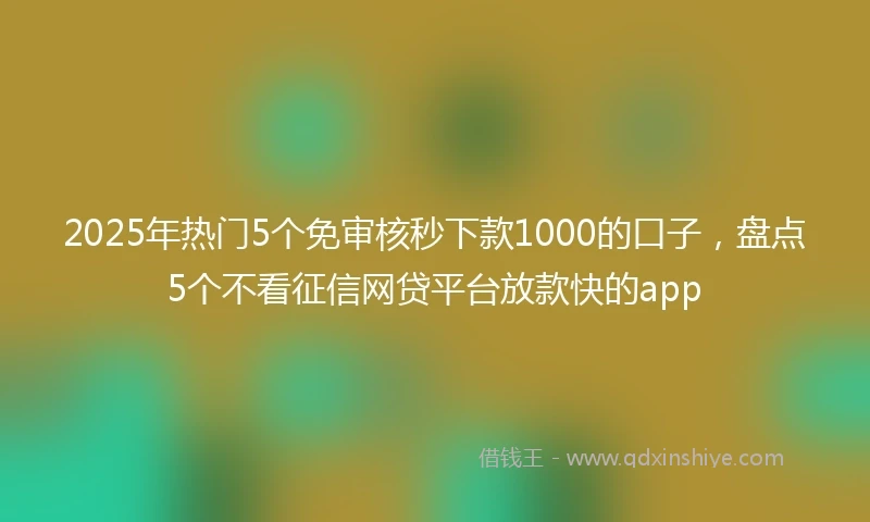 2025年热门5个免审核秒下款1000的口子，盘点5个不看征信网贷平台放款快的app