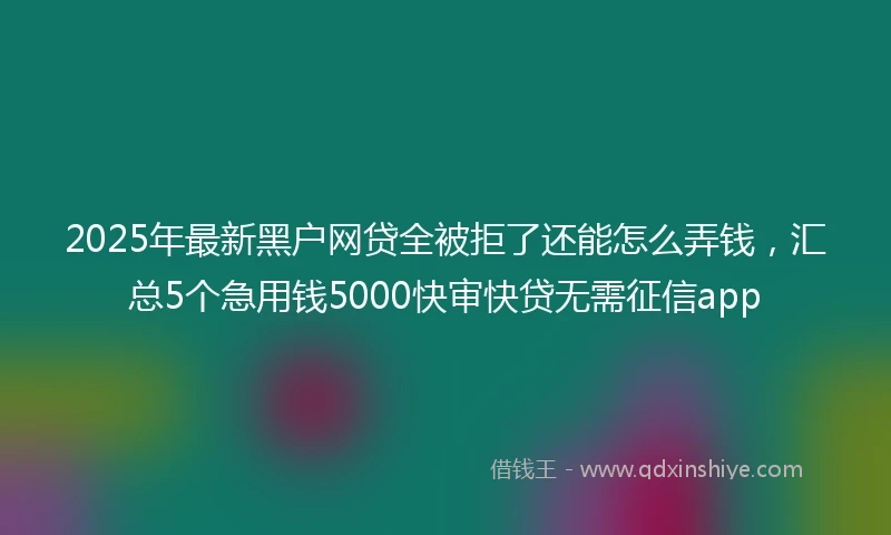 2025年最新黑户网贷全被拒了还能怎么弄钱，汇总5个急用钱5000快审快贷无需征信app
