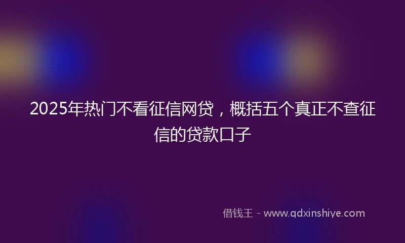 2025年热门不看征信网贷，概括五个真正不查征信的贷款口子