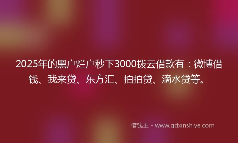 2025年的黑户烂户秒下3000拨云借款有:微博借钱、我来贷、东方汇、拍拍贷、滴水贷等。
