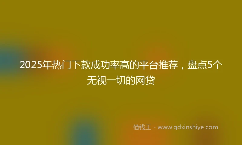2025年热门下款成功率高的平台推荐，盘点5个无视一切的网贷