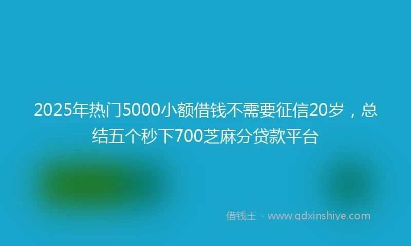 2025年热门5000小额借钱不需要征信20岁，总结五个秒下700芝麻分贷款平台