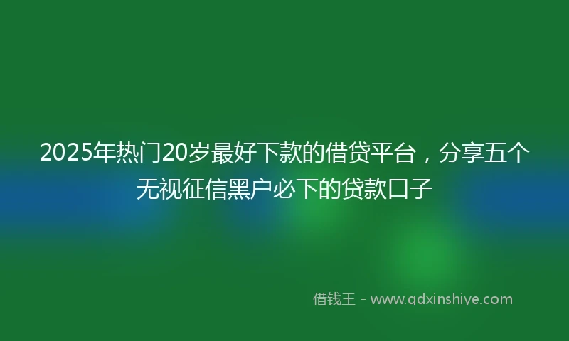 2025年热门20岁最好下款的借贷平台,分享五个无视征信黑户必下的贷款口子