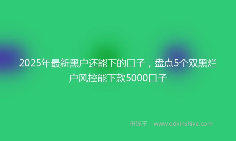 2025年最新黑户还能下的口子，盘点5个双黑烂户风控能下款5000口子