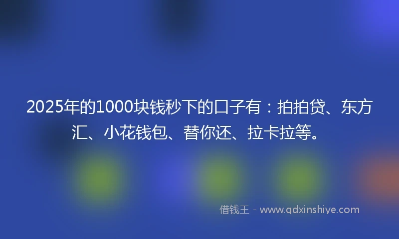 2025年的1000块钱秒下的口子有：拍拍贷、东方汇、小花钱包、替你还、拉卡拉等。