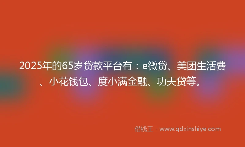 2025年的65岁贷款平台有：e微贷、美团生活费、小花钱包、度小满金融、功夫贷等。