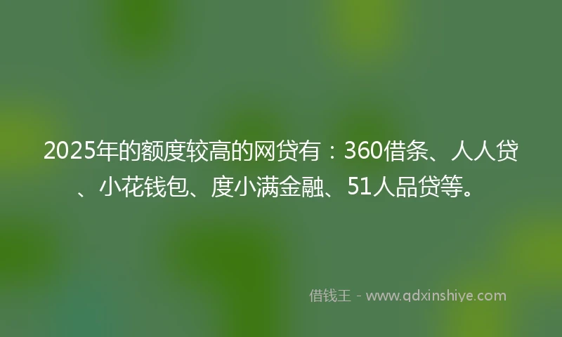 2025年的额度较高的网贷有：360借条、人人贷、小花钱包、度小满金融、51人品贷等。